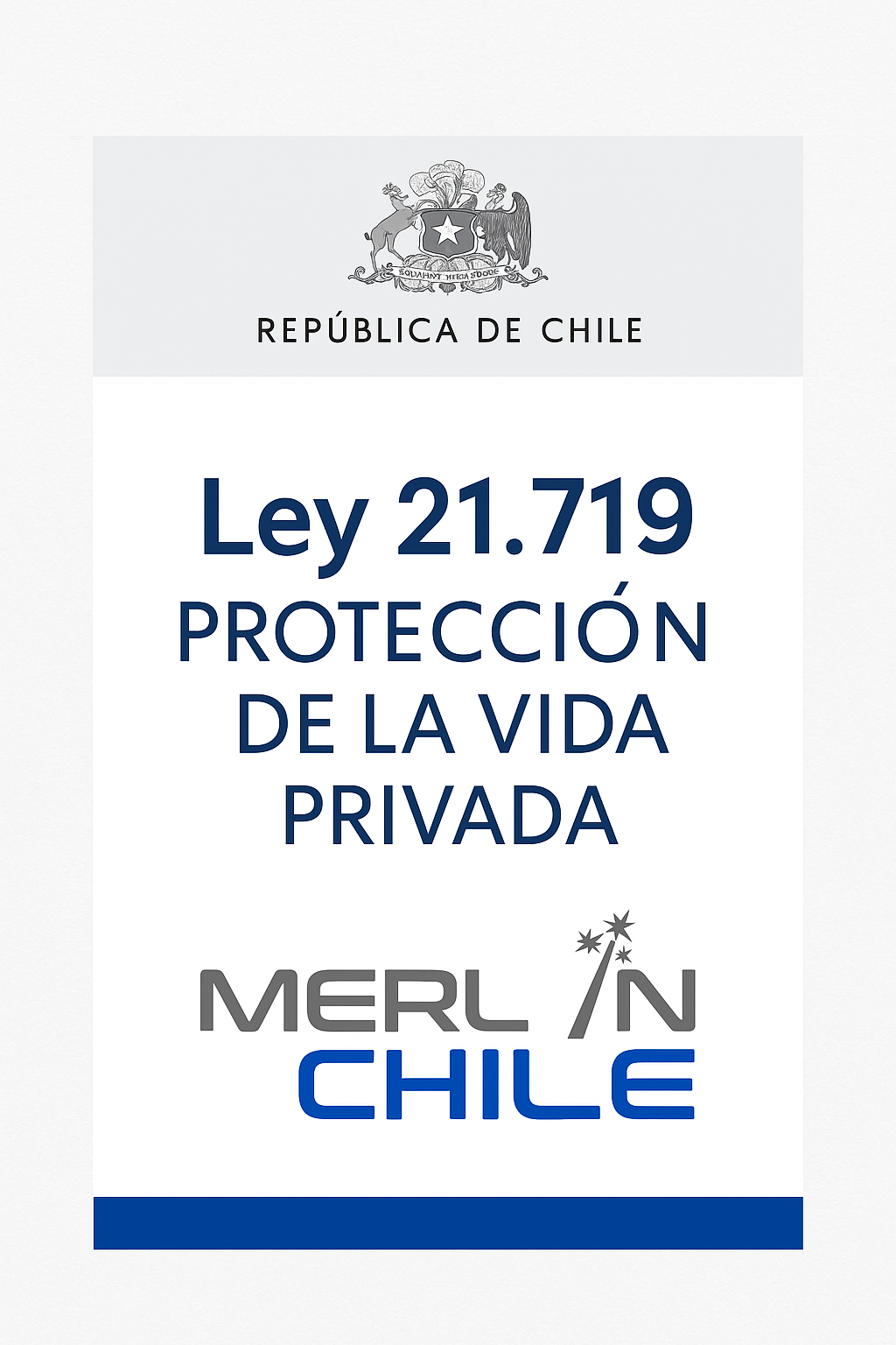 Ley 21.719